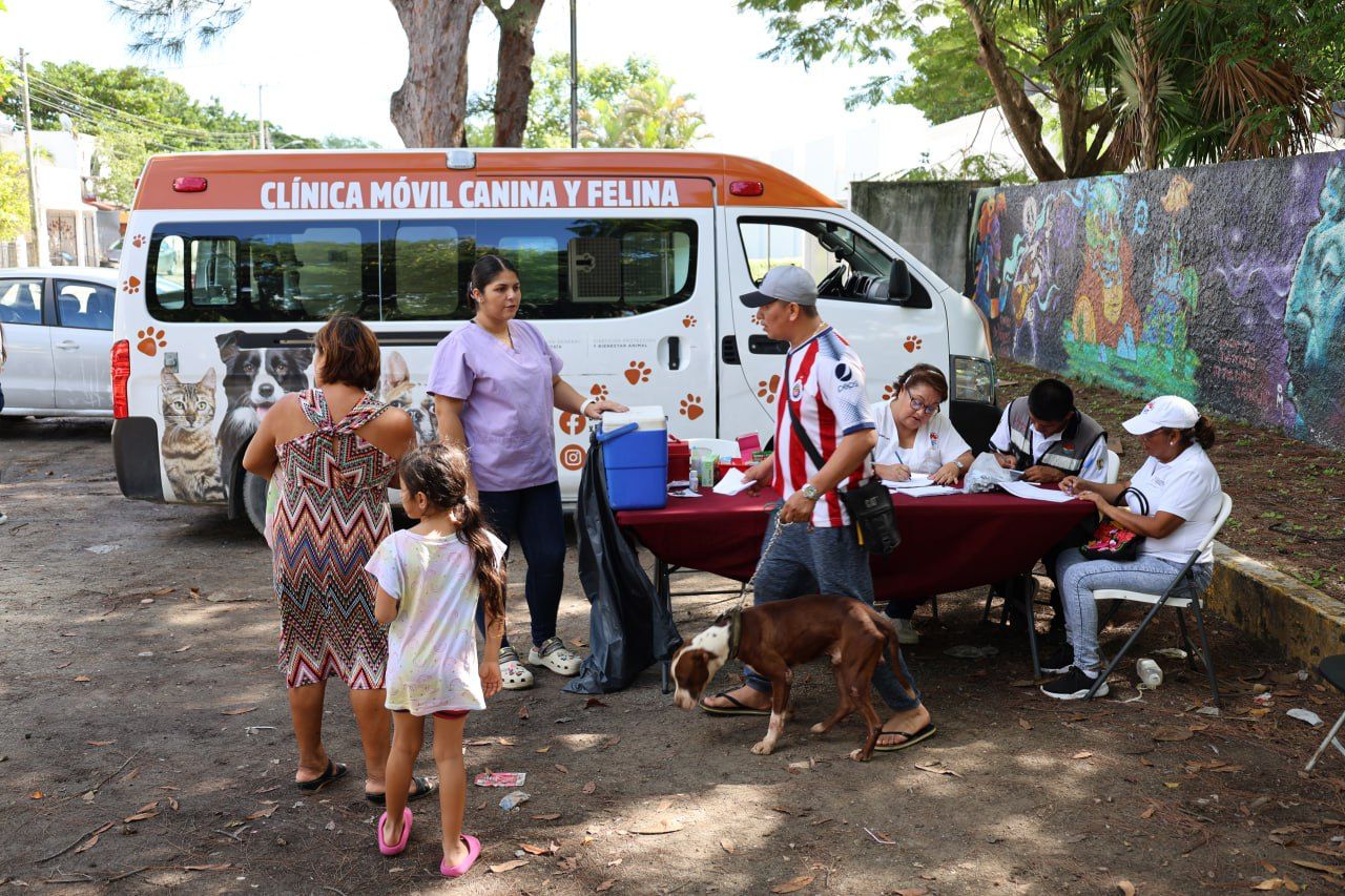 uploads/6/32/01 (586).Jpeg